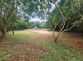 Mkumbi Nyala Campsite