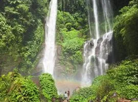 nyoman sekumpul house
