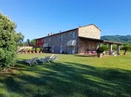 Ringo, the true Tuscany Country House