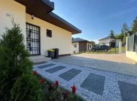 Sarajevo Pine House