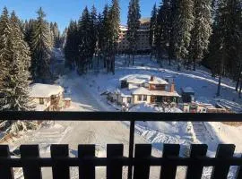 Panorama Apartment