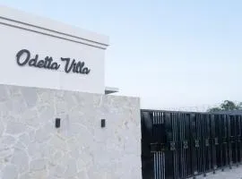 Odetta Villa Puncak - Kolam Renang Private