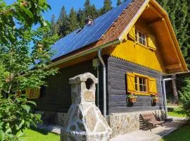 Authentic Pohorje house with riverside outdoor sauna