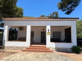 Villa Lon