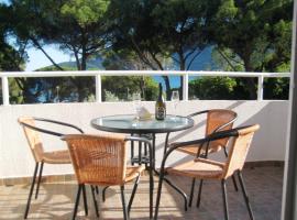 Apartmani TOPLA - Zlokovic - apartman A3 i apartman A4, Hotel in Topla