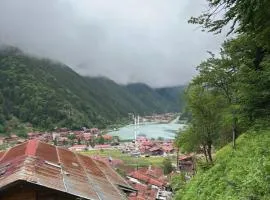 Şahin Home