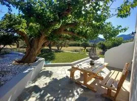 Τhimios Home