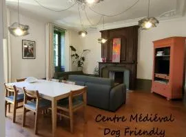 Les Viguiers - Clos Lacam - Centre-ville - Dog friendly