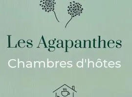 Les Agapanthes chambres d hôtes
