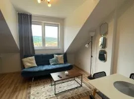 7 people - 1 price - Cozy attic apartment