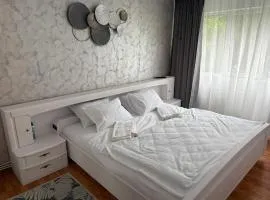 Apartament S 22