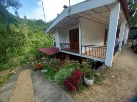 Forest Glen Nest Ella