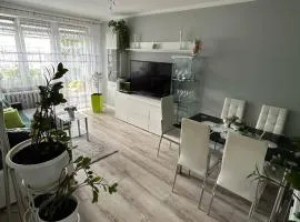 BM Apartament