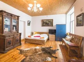 Classical large apartment on Alberta street, FREE locked PARKING
