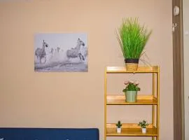 Cosy Flat off City Centre