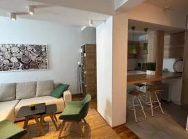Apartman Vila Jaram, Kopaonik