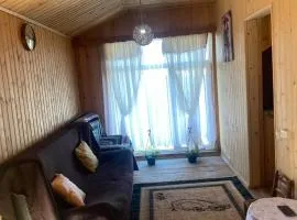 Gomis mta house
