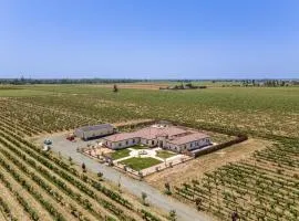 8 Mi to Lodi Lake Luxe Home with On-Site Vineyard