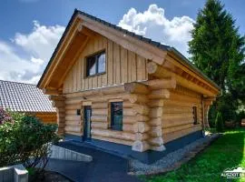 Haus 8 Auszeit im Harz - Haus 8 Blockhaus oben