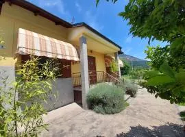 Casa La V G
