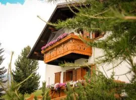 Piccolo Larice - Livigno