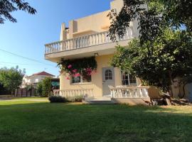Andri's Garden House, hotel in Psinthos