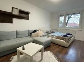 Sz43 Apartman free Parking