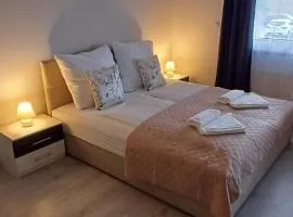 Cozy and modern apartment near Brno city center