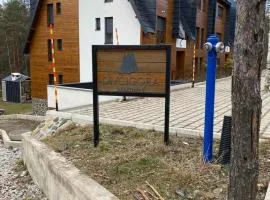 Divčigora
