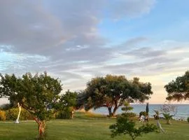 Physis Seaside Living