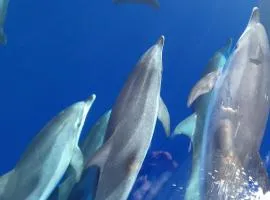 PANORAMA, 100m from the water, rebuild 2020, penthouse, 2 teracces, modern