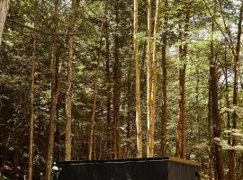 Postcard Cabins Eastern Catskills
