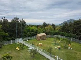 Gaedeongyi's House