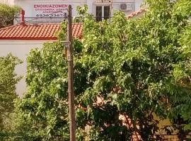 Christos IIII