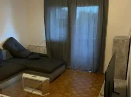 Gemütliche Wohnung in Leonding