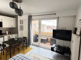 Soh Rent Strasbourg Wifi Terrasse St Aloise
