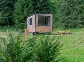 Friland - Una Stanza nella natura a Sappada