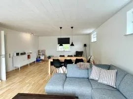 Entire Home in Billund Center