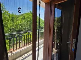 Exohi apartments