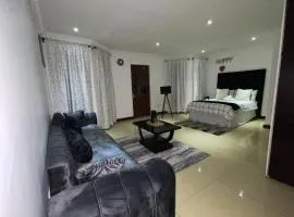 Homely Palace Guesthouse
