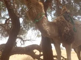قصر الركابي