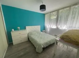 L'appart T2 cosy plein sud