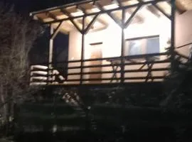 Madárles