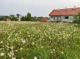 Albatrosa 17 - apartament nr 4