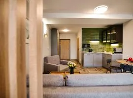 Comfortable apartment, sauna Żywiec Lake