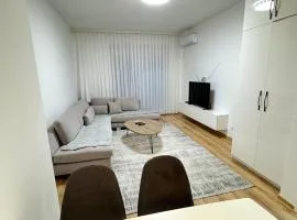 ANI apartment 1
