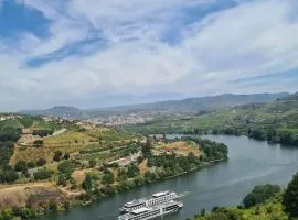 Delfim Douro Hotel