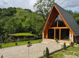 Cabana AFrame Olanesti