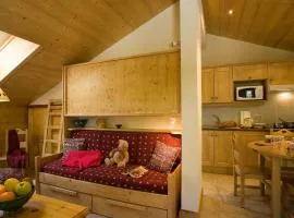 Charmant studio montagnard avec accès spa, proche centre et pistes, parking inclus - Le Grand-Bornand Village - FR-1-467-28