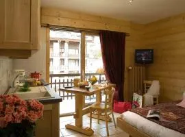 Studio Montagnard au Cœur du Grand-Bornand - Accès Bien-Être et Proximité Pistes - FR-1-467-30